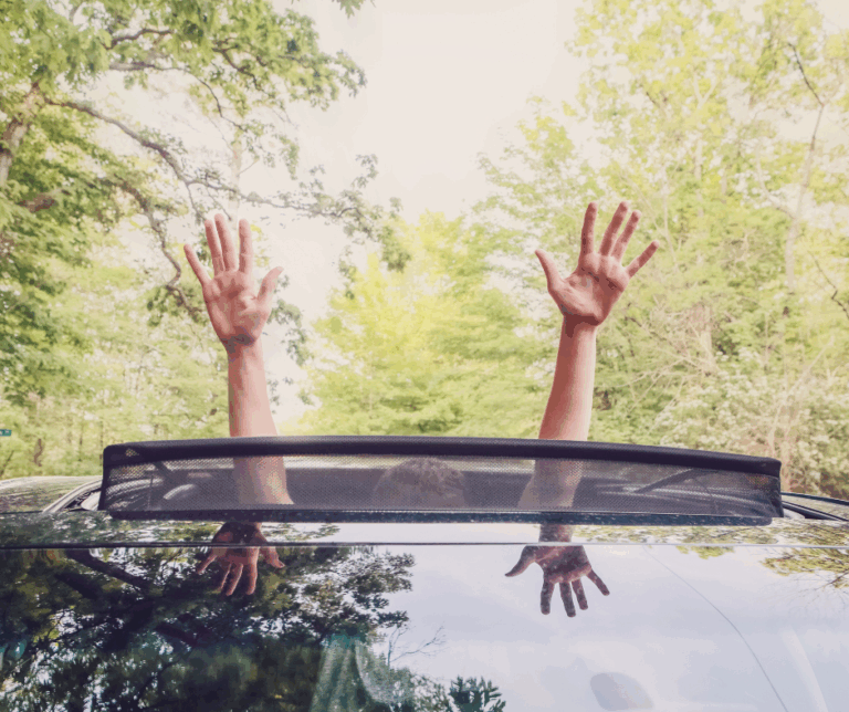 Auto glass repair for your moonroof is essential for fall.