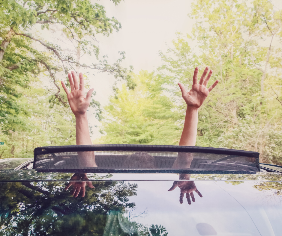 Auto glass repair for your moonroof is essential for fall.